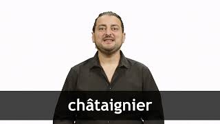 How to pronounce CHÂTAIGNIER in French [upl. by Goldstein]