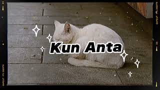 Kun Anta cat memes aim2k funny songs subscribe Staywithtwilight [upl. by Tito616]