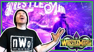 REACTION UNDERTAKER RETURNS AT WRESTLEMANIA 34 [upl. by Parish]