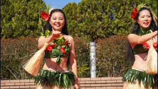 リズムで素敵なタヒチアンダンスTahitian dance オテア [upl. by Schuyler]