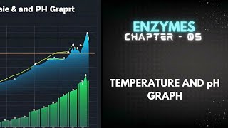 Temperature and pH Graph  Enzymes Lecture 2  O levelIGCSE Biology with SSK [upl. by Broderick]