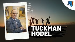 The Tuckman Model of Team Development  Tuckman Group Stages [upl. by Barby]