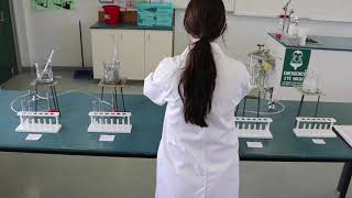 The Effect of Temperature on Enzyme Activity Experiment [upl. by Hakkeber]