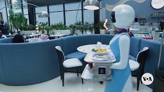 Restaurant with robot servers causes excitement in Nairobi  VOA News [upl. by Anitsirk656]