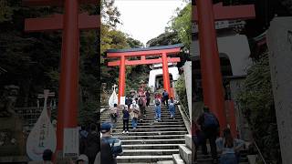 Enoshima island Japan [upl. by Akehsal]