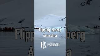 Flipping Iceberg  Antarctica  Hurtigruten Expeditions Cruise [upl. by Martelli364]