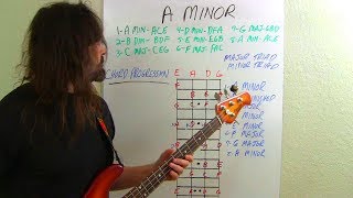 Bass Lesson 2 For Beginners Working In Minor Scale [upl. by Lirret]