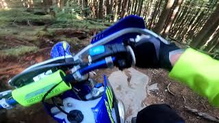 2022 Sherco 300 SE Factory  Amazing Single track at McNutt [upl. by Aknaib]