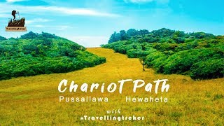 Chariot Path via Pussallawa  Hewaheta  Sri Lanka Hiking  Camping [upl. by Lochner]