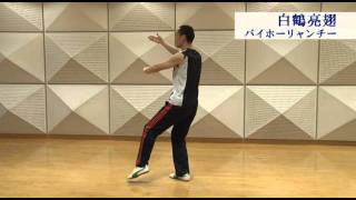 ⑤24式太極拳１～６式、通し簡単解説24form TaijiQuan [upl. by Annohsat]