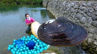 When I pried open the giant clam there were countless beautiful pearls inside and I was mesmerized [upl. by Odelle]