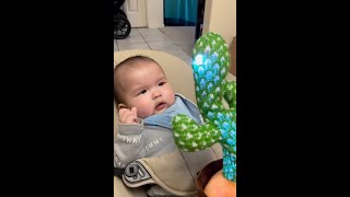 Surprised Baby Cries Baby Gets Scared by Dancing Cactus [upl. by Zoe]