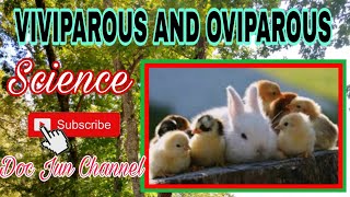 VIVIPAROUS and OVIPAROUS ANIMALS  Science for kids [upl. by Snook]