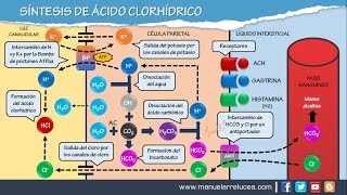 SÍNTESIS DE ÁCIDO CLORHÍDRICO HCL [upl. by Iblok706]