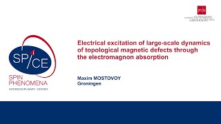 Talks  Spin textures Magnetism meets Plasmonics 2024  Maxim MOSTOVOY Groningen [upl. by Barnum783]