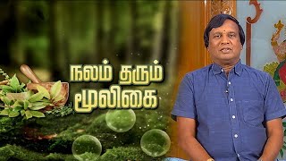 நலம் தரும் மூலிகை  Nalam Tarum Mooligai  Makkal TV [upl. by Eki471]