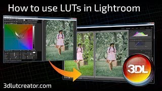 How to use LUTs in Lightroom [upl. by Lifton]