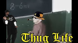 OS REIS DO THUG LIFE  THE KING OF THUG LIFE 31 [upl. by Gurango177]