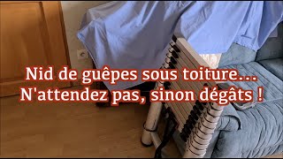 Nids de guêpes sous toitureNattendez pas  Sinon dégâts [upl. by Brothers]