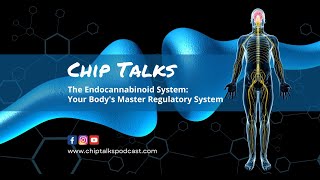 The Endocannabinoid System Your Bodys Master Regulatory System [upl. by Hoover415]