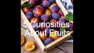 5 Curiosities About Fruits [upl. by Ellierim]