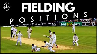 Learn ALL the FIELDING Positions in Cricket under 8 Minutes  English [upl. by Sirovart]