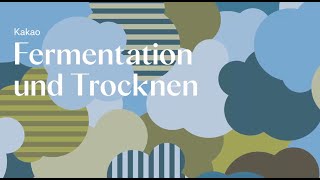 13  Fermentation und Trocknung bei Läderach Die Kunst der Kakaoverarbeitung [upl. by Racklin756]