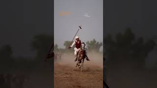 Punjab ❤️hsntiwana punjab panjab shorts fy fyp short game viral tentpegging horse [upl. by Inahs]