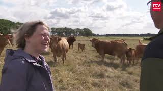 Boeren als 400 jaar geleden kan dat nog ROEGTV op bezoek bij potstalboerderij De Veldkamp [upl. by Malony862]