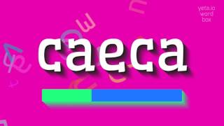 CAECA  HOW TO PRONOUNCE CAECA caeca [upl. by Ribaj]