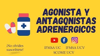 AGONISTAS Y ANTAGONISTAS ADRENÉRGICOS [upl. by Khosrow296]