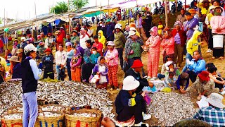 Food Rural TV​ Khmer fishing on Tonle Sap Lake to make prahok [upl. by Eiuqram]