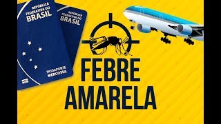 VACINA DA FEBRE AMARELA PARA VIAGENS NACIONAIS E INTERNACIONAIS [upl. by Kehoe]