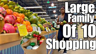 SPENT 500 on 5 ITEMS LARGE FAMILY GROCERY SHOPPING WHOLE FOODS [upl. by Darken]