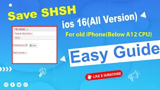 How to Save SHSH Blobs for iOS 16 Easy Guide [upl. by Adnilahs564]