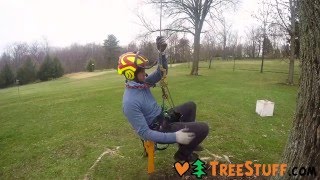 The Fastest Way to Climb a Tree  HAAS Velox Ascent System  TreeStuffcom [upl. by Notliw79]