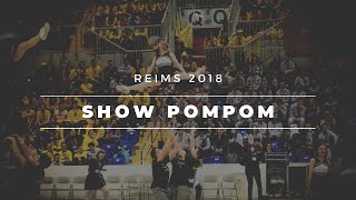 SHOW POMPOM CHEERLAIDEURS TCHIPLAIDEURS CHALLENGE ECRICOME REIMS 2018 [upl. by Ecinna]