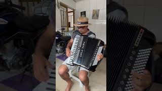 Importância dos Baixos acordeon sanfoneiro [upl. by Anilegna]