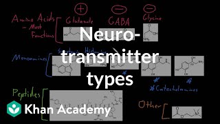 Types of neurotransmitters  Nervous system physiology  NCLEXRN  Khan Academy [upl. by Etnoled265]