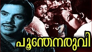 Poonthenaruvi 1974 Full Malayalam Movie [upl. by Airyt364]