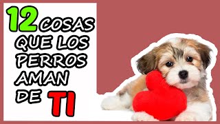 12 COSAS que LOS PERROS AMAN que HAGAS y quizá no sabias 🐶❤👩🧑 [upl. by Katusha]