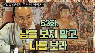 법륜스님의 부처님 이야기 53화 남을 보지 말고 나를 보라 [upl. by Boys]