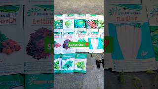 October mein lagne wali sabziya gardening winterseeds bestfertilizer [upl. by Maggi]