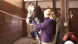 Horses Care amp Grooming  How to Tack a Horse [upl. by Htrowslle309]