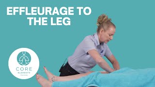 Effleurage Massage to the Leg  Massage Techniques [upl. by Omixam]