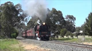 Steamrails K153 amp R761 Echuca Rail 150th Shuttles [upl. by Anaic]