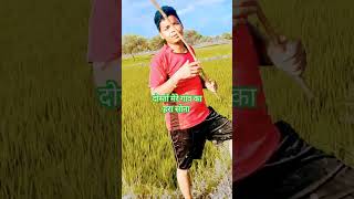 Chandi ke Cundari Adhai Tola Vo Cg Song Short Video Cg vairal [upl. by Wampler]