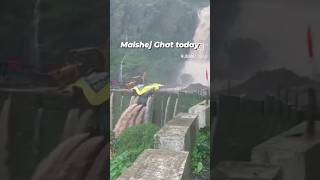 Malshej Ghat today malshej malshejghat alert travel news hillstation [upl. by Fihsak]