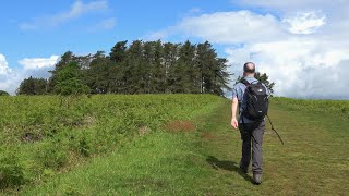 229 May Hill Glasshouse and Clifford’s Mesne Forest of Dean 2024 [upl. by Eimak]