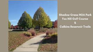 Shadow Grass and Calkins Reservoir [upl. by Eivla]